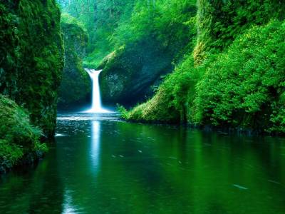 Punch Bowl Falls 1280 x 960.jpg
